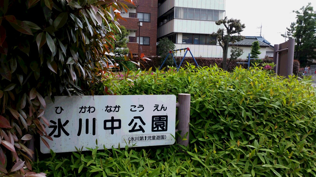 20150504_141930