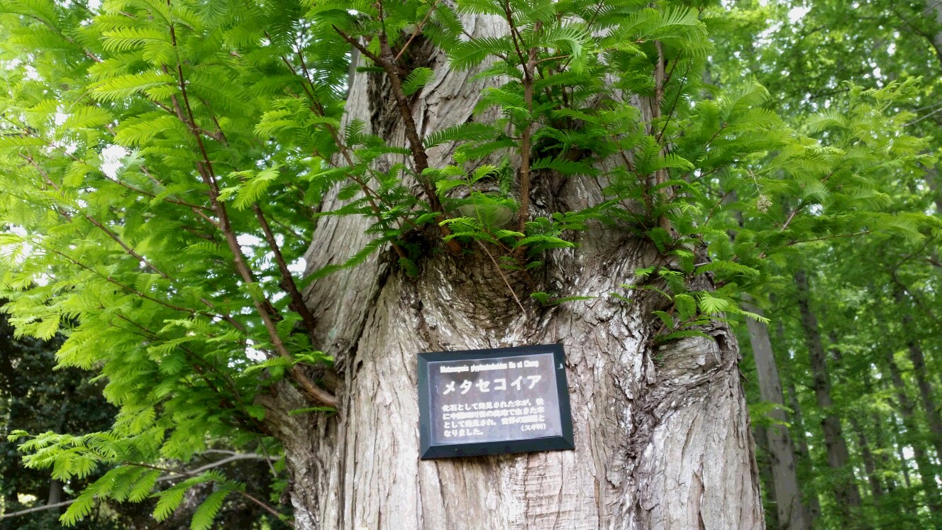20150506_113546