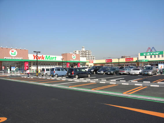 J2866057931619